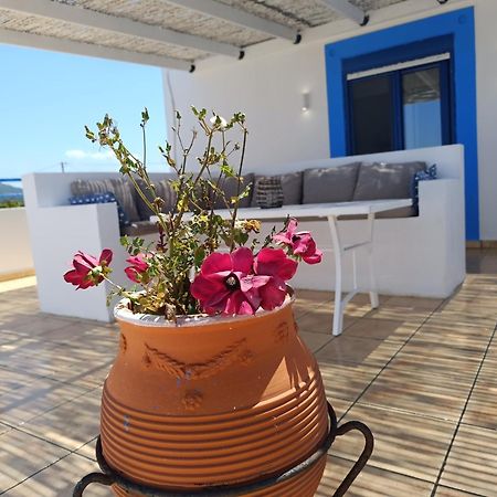Nautilus Beach House Paradisi  Екстер'єр фото